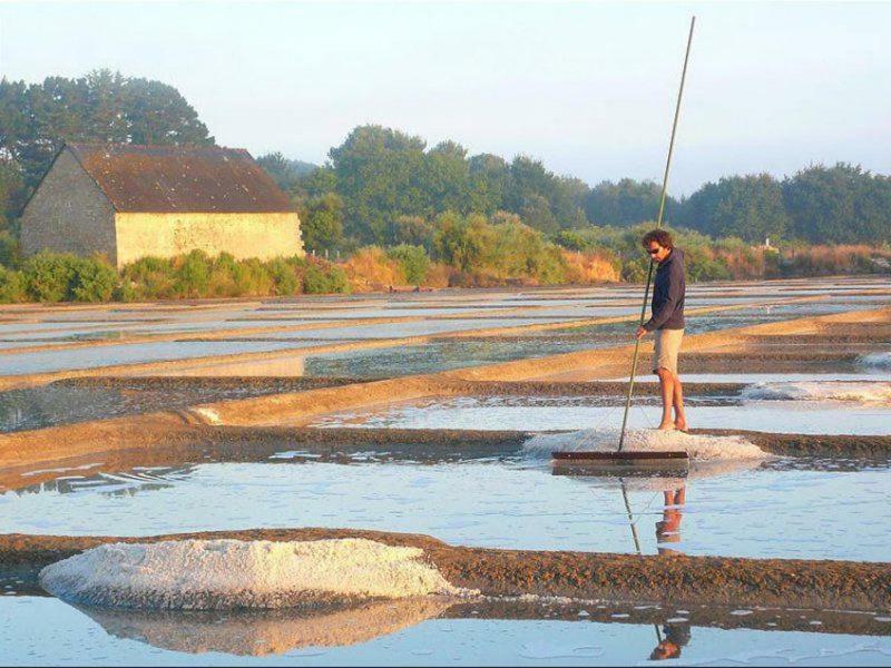 La Palmeraie ヴァンヌ エクステリア 写真