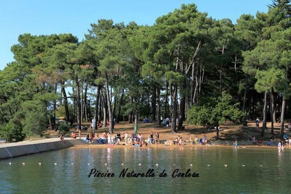 La Palmeraie ヴァンヌ エクステリア 写真